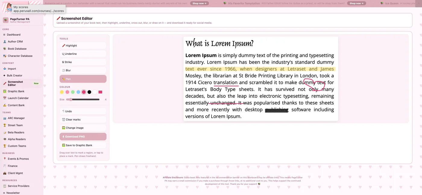PageTurner PA screenshot editor